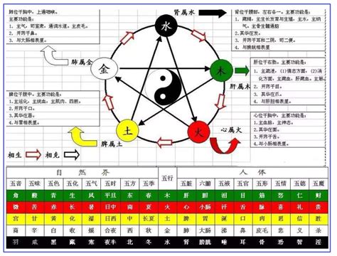 天干陰陽